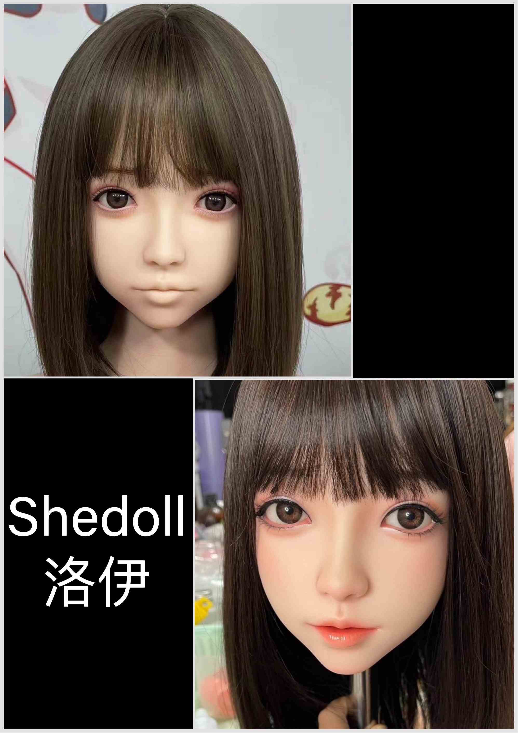 SHEDOLL 洛伊(客製)-2